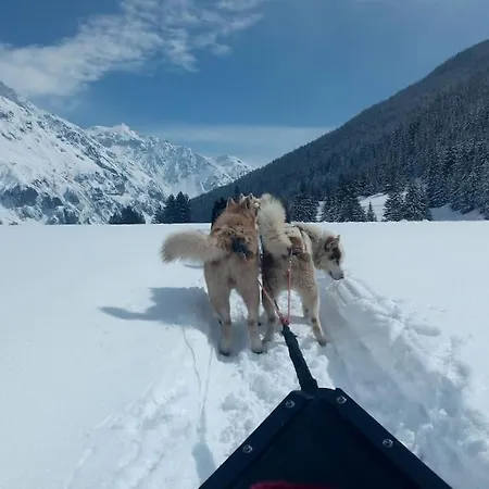 Pied Des Pistes - évasion Alpine De Gamme *
